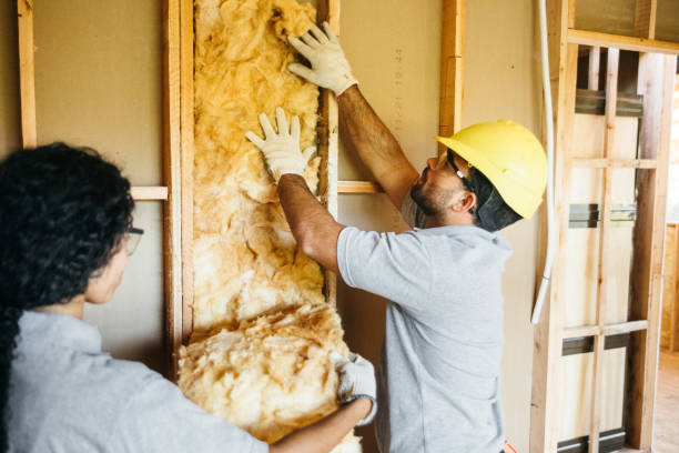 Insulation Replacement Services in Vernon, TX